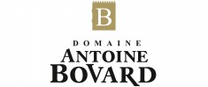 logo_domaine_antoine_bovard